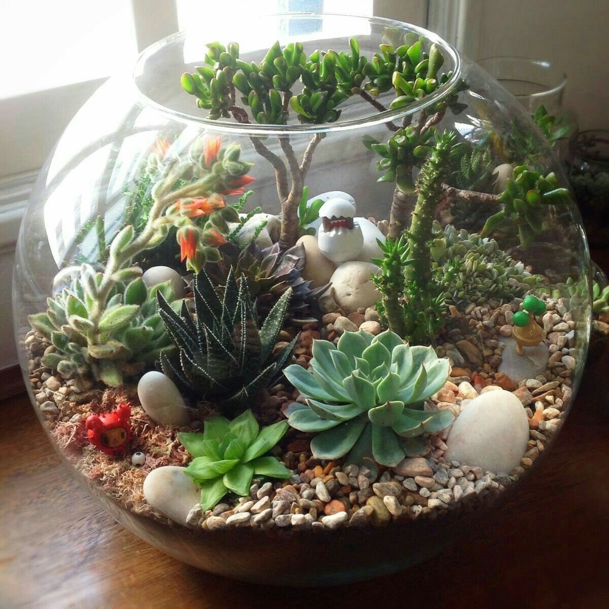Terrarium Making Workshop