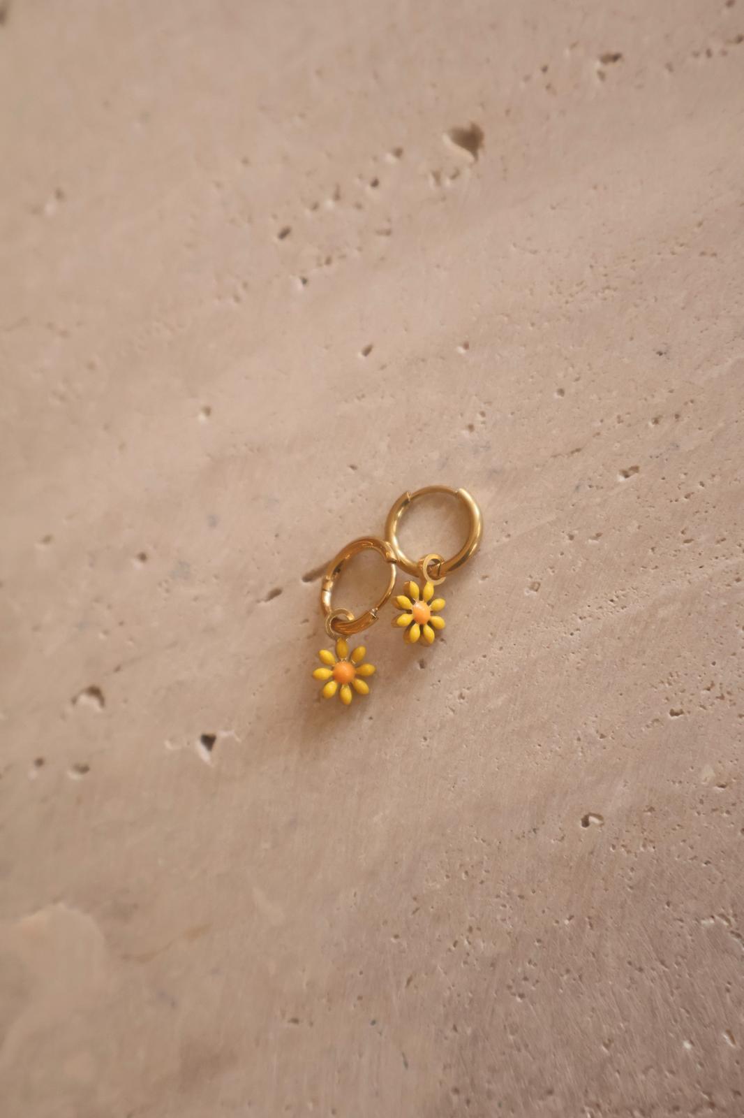 Daisy Yellow